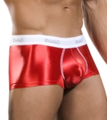 Gigo Mirror Trunk